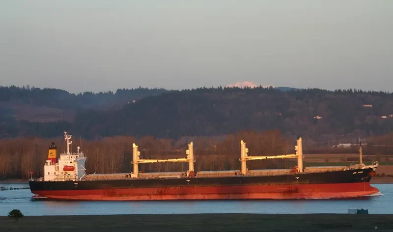 JIN PING Bulk Carrier IMO 9240079 photo 7