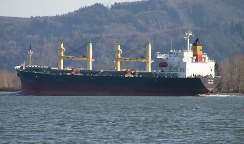 JIN PING Bulk Carrier IMO 9240079 photo 8