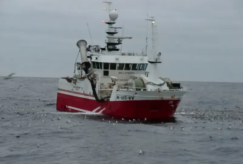 HEGE THERESA General Cargo IMO 9240263 photo 5