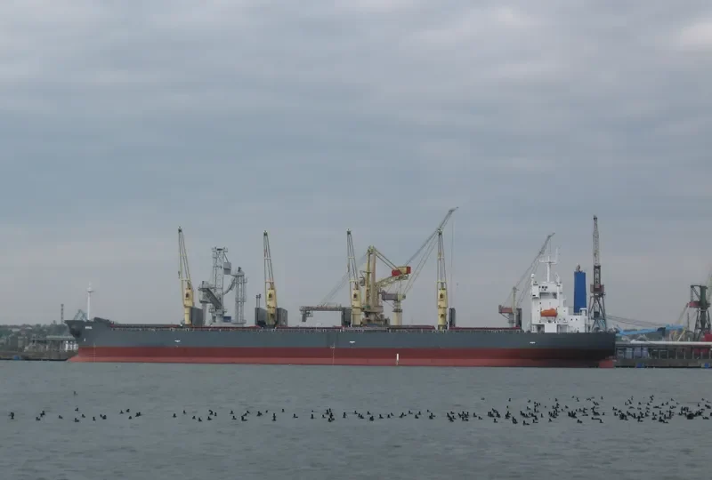 ZHONG SU 19 Bulk Carrier IMO 9240809