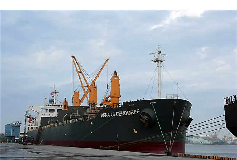 ZHONG SU 19 Bulk Carrier IMO 9240809 photo 9