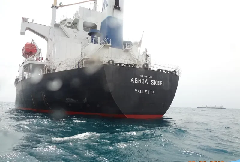 CHANG MIN Bulk Carrier IMO 9240811 photo 2