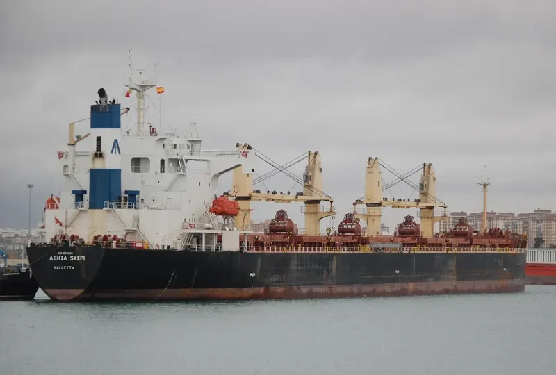 CHANG MIN Bulk Carrier IMO 9240811 photo 6