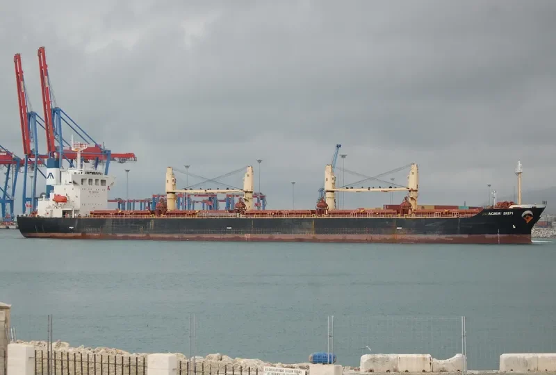 CHANG MIN Bulk Carrier IMO 9240811 photo 7