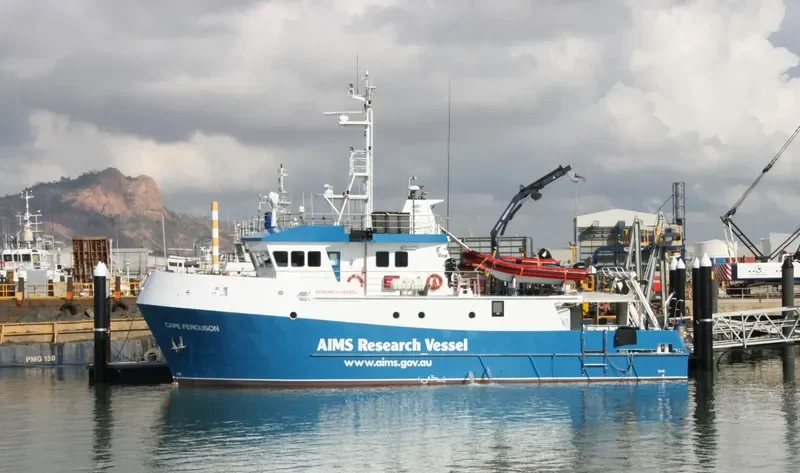 CAPE FERGUSON General Cargo IMO 9240861 photo 2