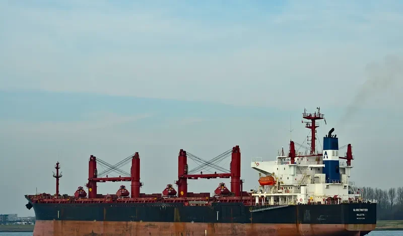TIAN LI Bulk Carrier IMO 9241255 photo 4