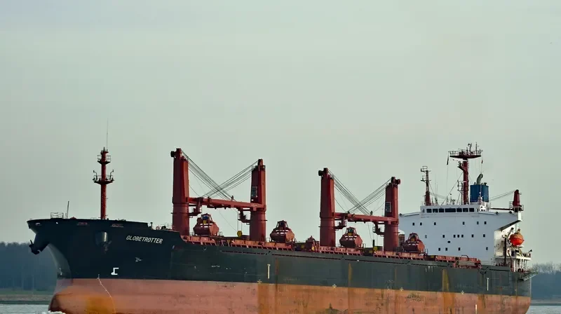 TIAN LI Bulk Carrier IMO 9241255 photo 5
