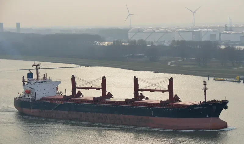 TIAN LI Bulk Carrier IMO 9241255 photo 6
