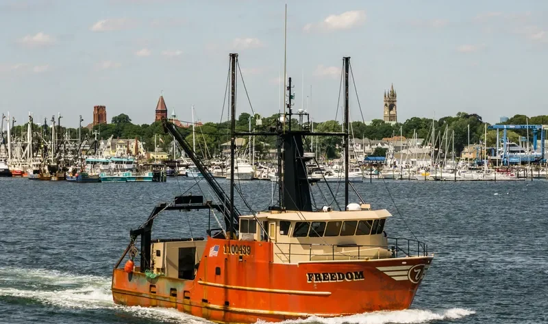 FREEDOM General Cargo IMO 9241437