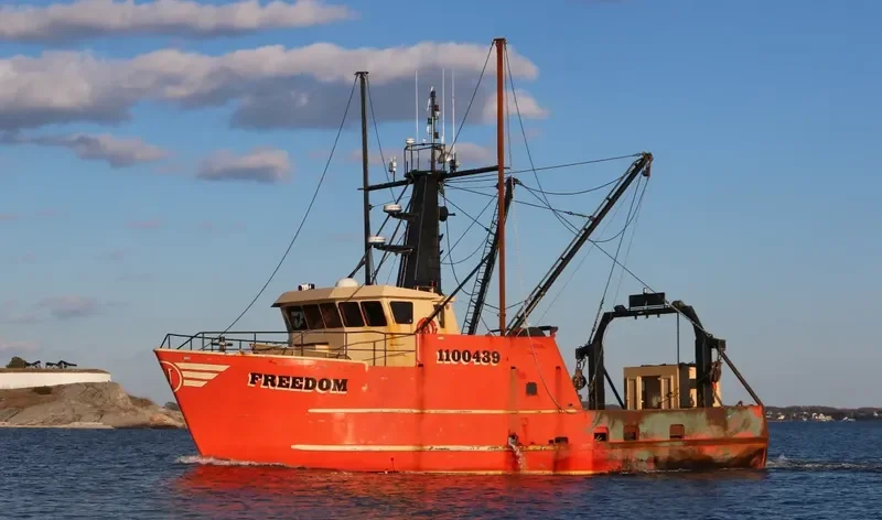 FREEDOM General Cargo IMO 9241437 photo 3