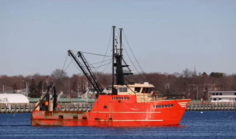 FREEDOM General Cargo IMO 9241437 photo 4
