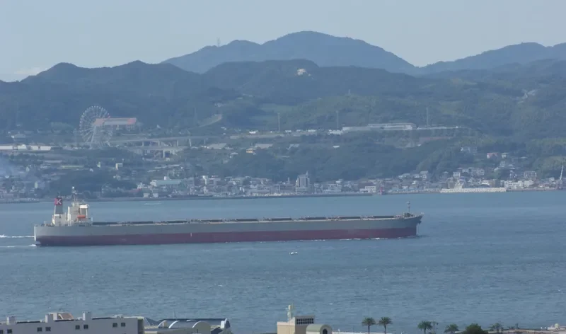 CAPE ENTERPRISE Bulk Carrier IMO 9241669 photo 8
