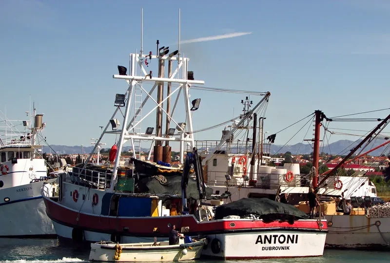 ANTONI General Cargo IMO 9241736 photo 5