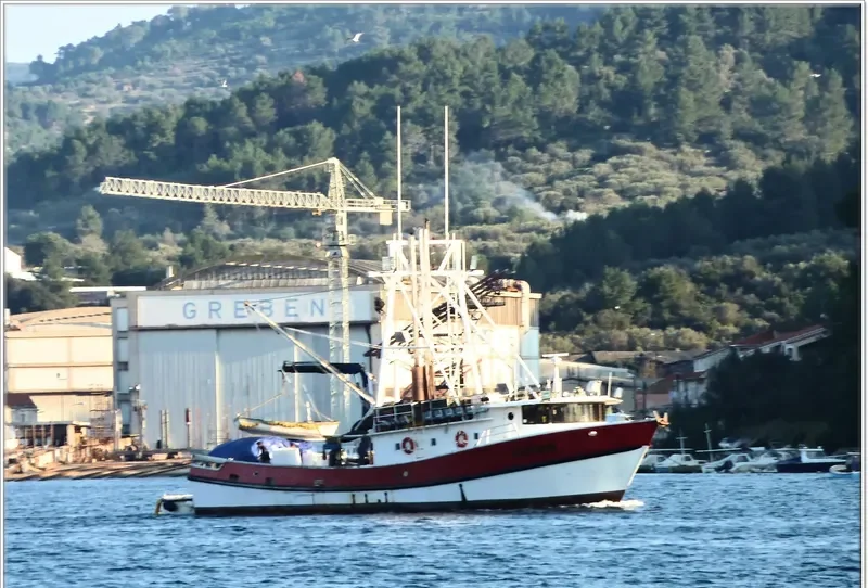 ANTONI General Cargo IMO 9241736 photo 7