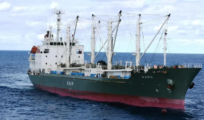 HARU General Cargo IMO 9241932 photo 6