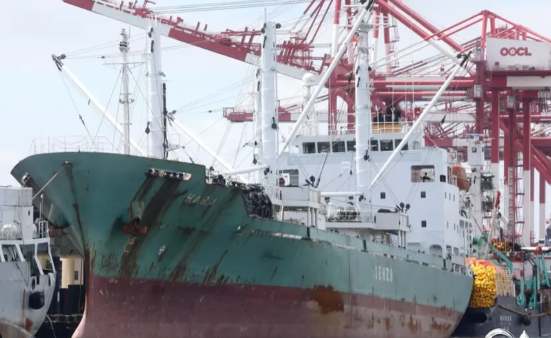 HARU General Cargo IMO 9241932 photo 7