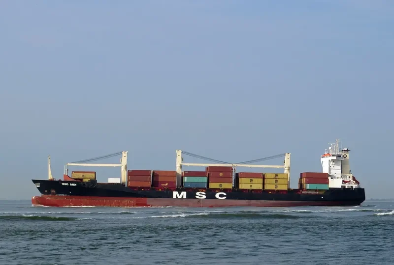 MSC AMY Container Ship IMO 9242651 photo 2