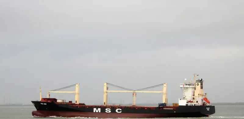 MSC AMY Container Ship IMO 9242651 photo 5