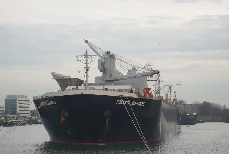 FORESTAL DIAMANTE Bulk Carrier IMO 9242699 photo 2
