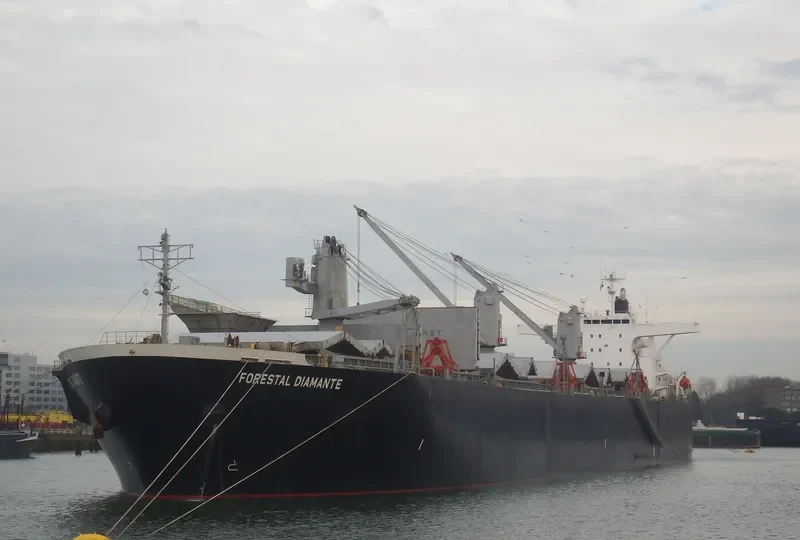 FORESTAL DIAMANTE Bulk Carrier IMO 9242699 photo 3