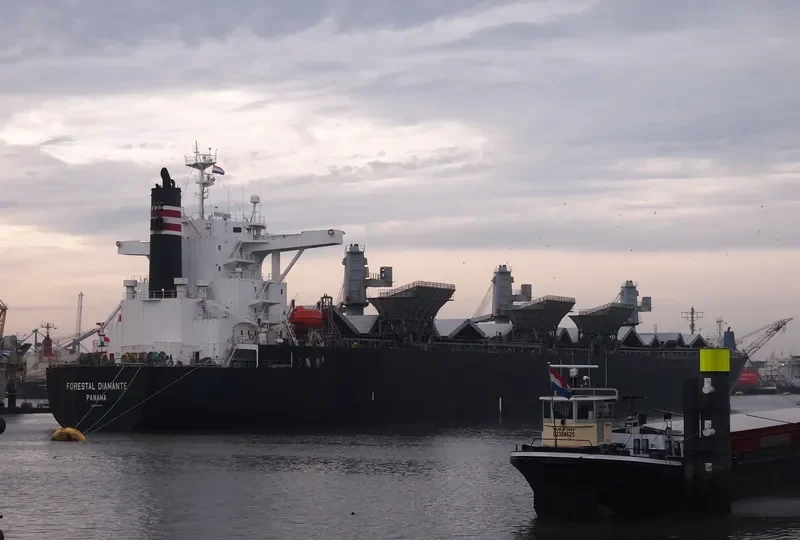 FORESTAL DIAMANTE Bulk Carrier IMO 9242699 photo 6