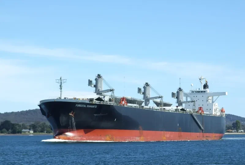 FORESTAL DIAMANTE Bulk Carrier IMO 9242699 photo 7
