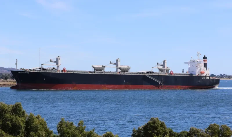 FORESTAL DIAMANTE Bulk Carrier IMO 9242699 photo 8