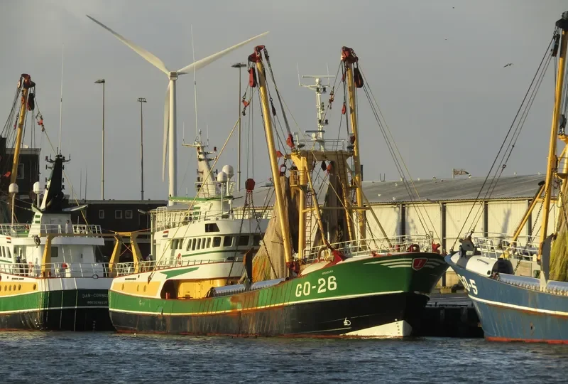 ARENDJAN General Cargo IMO 9242742