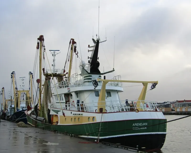 ARENDJAN General Cargo IMO 9242742 photo 2