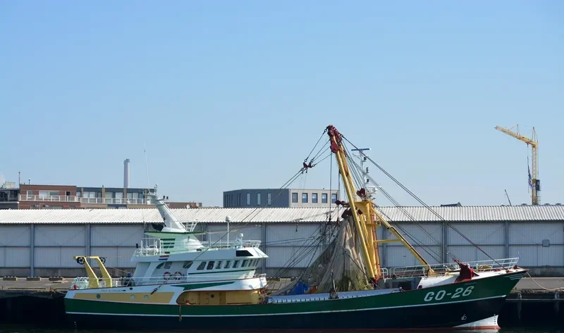 ARENDJAN General Cargo IMO 9242742 photo 7
