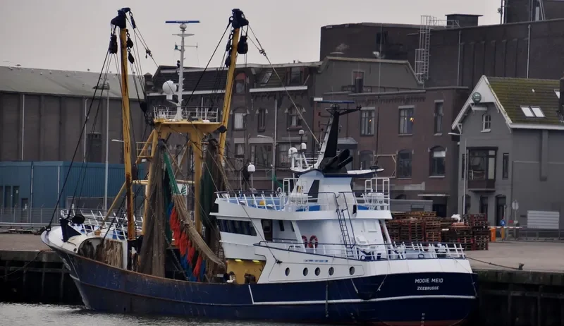 MOOIE MEID General Cargo IMO 9242807 photo 4