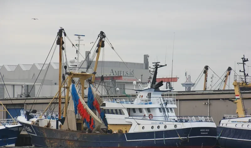 MOOIE MEID General Cargo IMO 9242807 photo 9