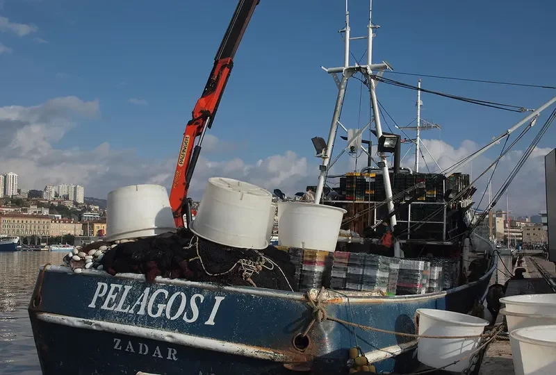 PELAGOS I General Cargo IMO 9242821
