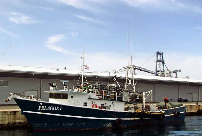 PELAGOS I General Cargo IMO 9242821 photo 4