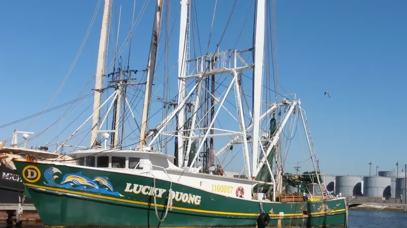 LUCKY DUONG General Cargo IMO 9243095