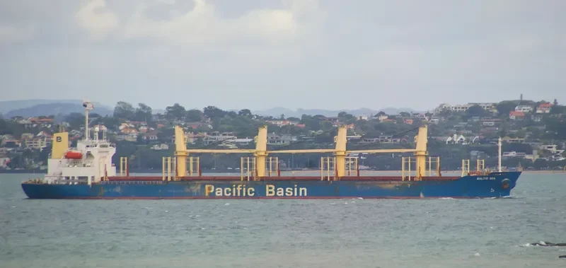 21 LUCKY Bulk Carrier IMO 9243497 photo 7