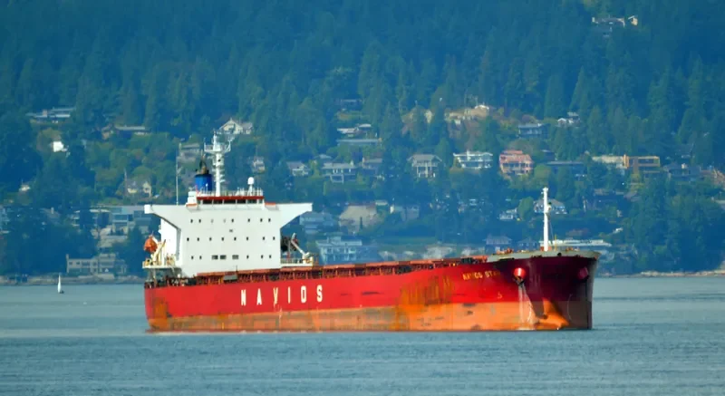 LUCK FORTUNE Bulk Carrier IMO 9243502 photo 7