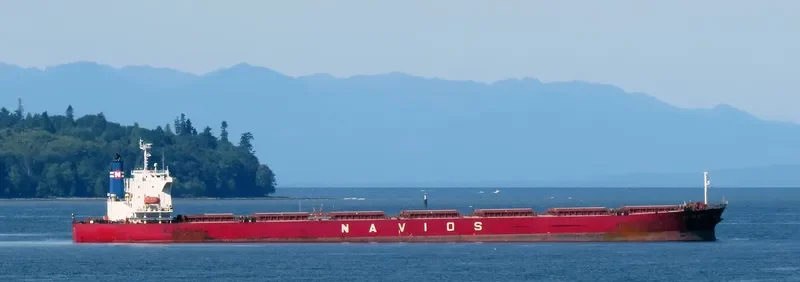LUCK FORTUNE Bulk Carrier IMO 9243502 photo 8