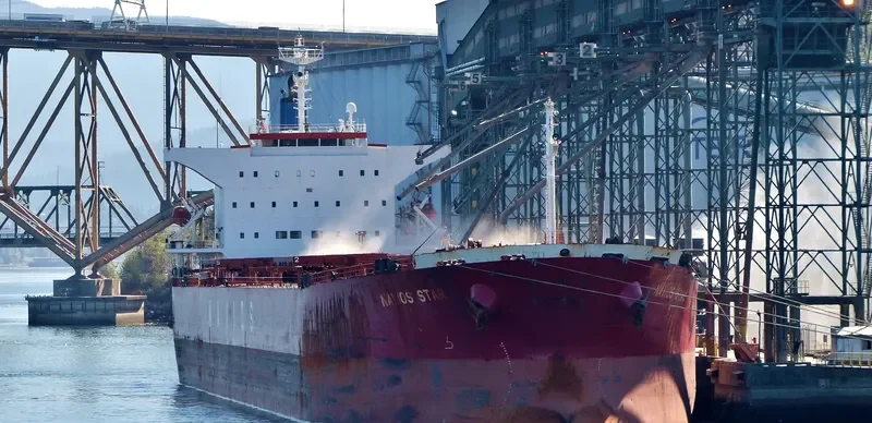 LUCK FORTUNE Bulk Carrier IMO 9243502 photo 10
