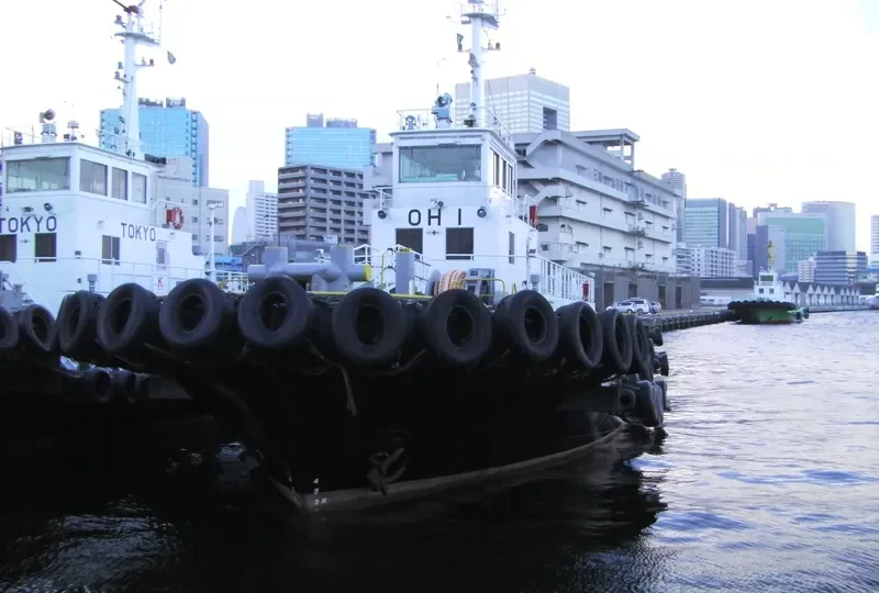 HB 88 General Cargo IMO 9243538 photo 6