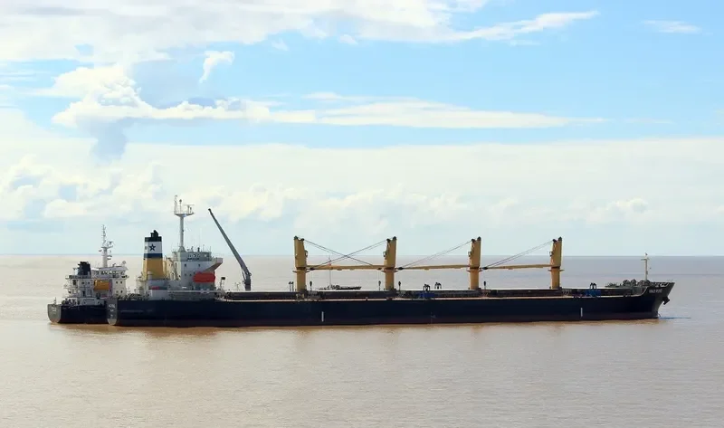 WILD ROSE Bulk Carrier IMO 9243564 photo 3