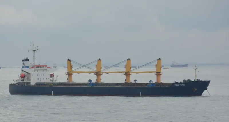WILD ROSE Bulk Carrier IMO 9243564 photo 4