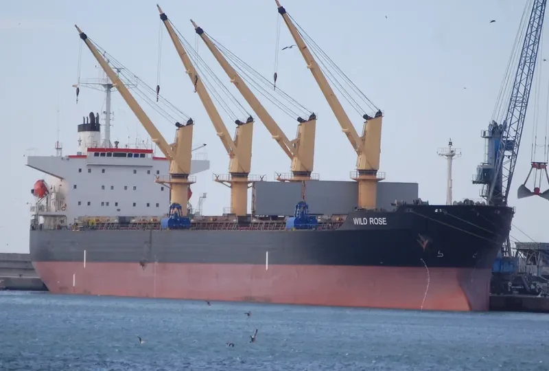 WILD ROSE Bulk Carrier IMO 9243564 photo 6