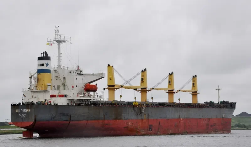 WILD ROSE Bulk Carrier IMO 9243564 photo 8