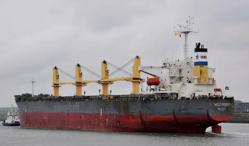 WILD ROSE Bulk Carrier IMO 9243564 photo 10