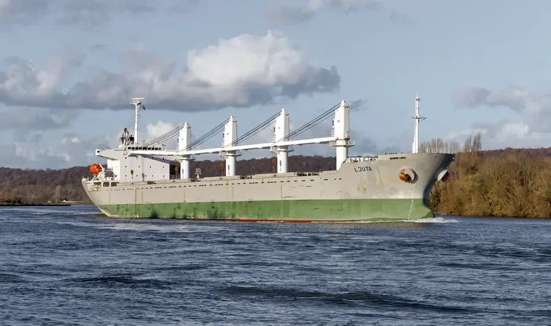 TRUE BROTHER Bulk Carrier IMO 9243693