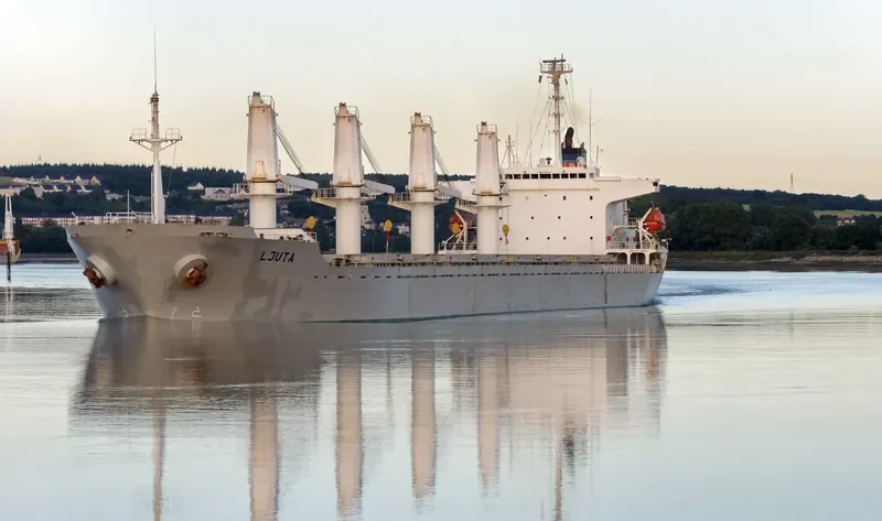 TRUE BROTHER Bulk Carrier IMO 9243693 photo 2