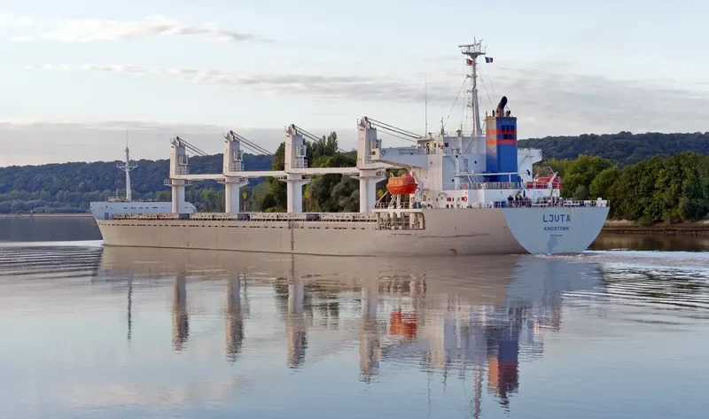 TRUE BROTHER Bulk Carrier IMO 9243693 photo 3