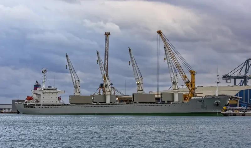 TRUE BROTHER Bulk Carrier IMO 9243693 photo 6