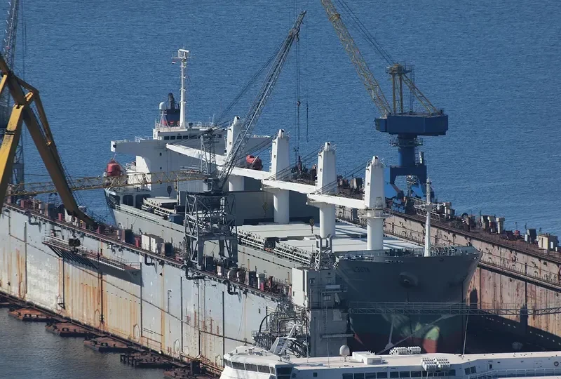 TRUE BROTHER Bulk Carrier IMO 9243693 photo 9